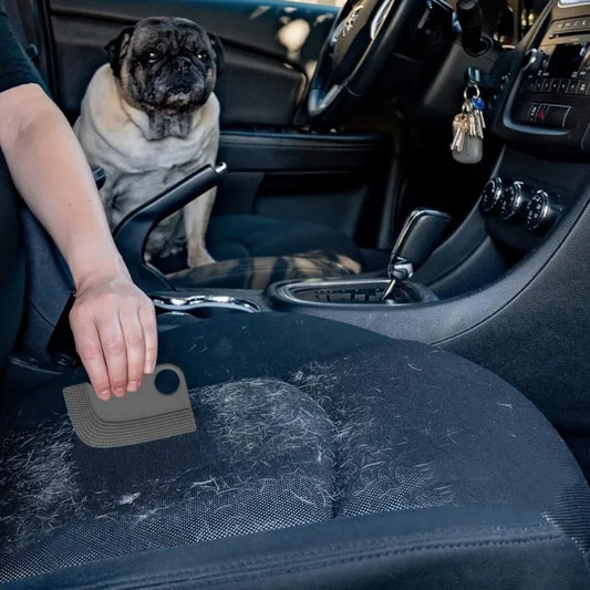 1pc Car Interior Hair Cleaning Brush Car